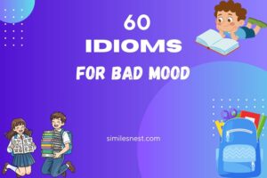 idioms for bad mood