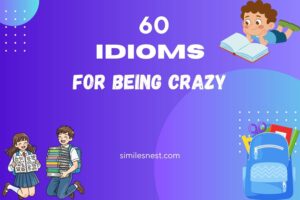 idioms for being crazy
